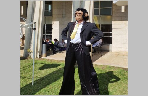 Monkey party for events